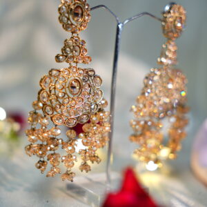 Gleam Stone Earrings